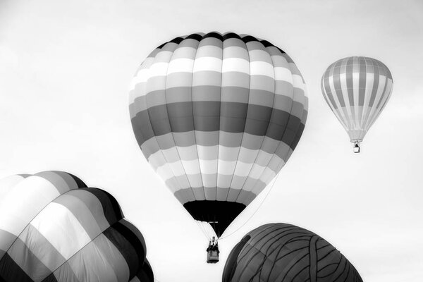 Grouping of Hot Air Balloons in Black and White