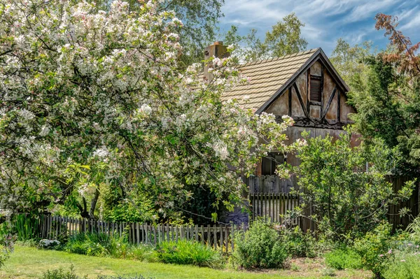 Lente tijd in het landelijk huisje — Stockfoto