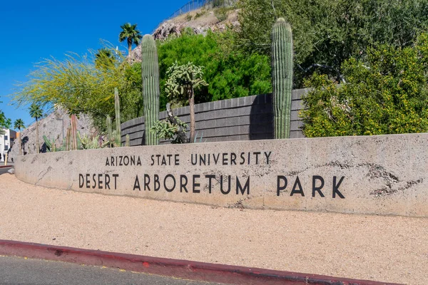 Arizona State Üniversitesi'nde Çöl Arboretum Parkı — Stok fotoğraf