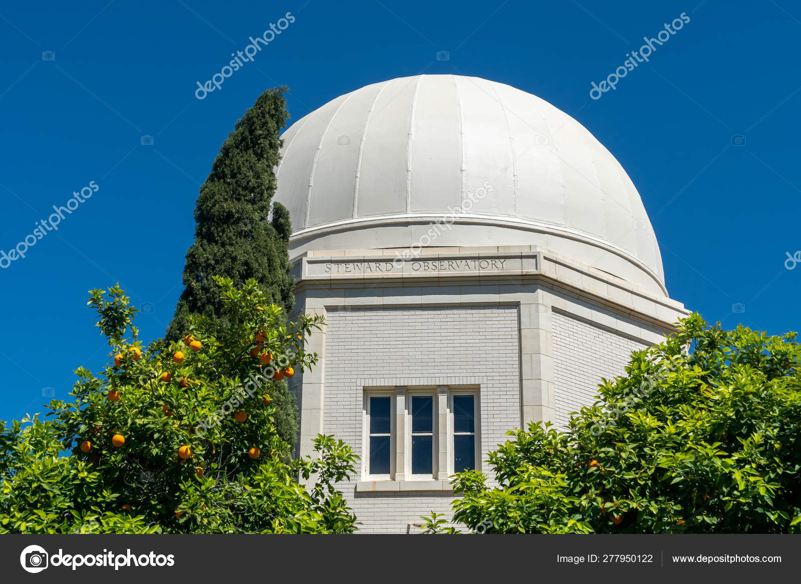Steward Observatory