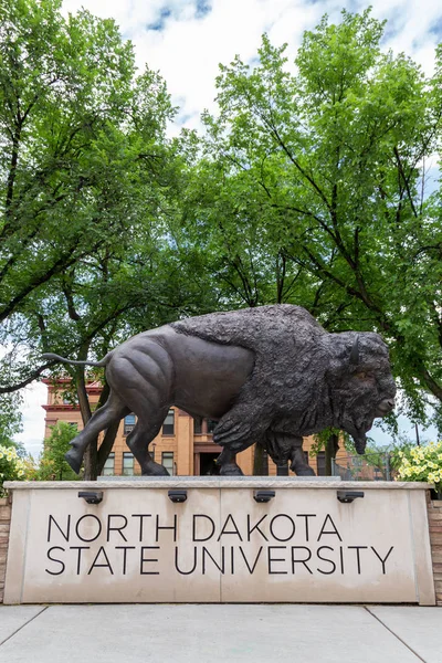 Statue de bisons à l'Université d'État du Dakota du Nord — Photo