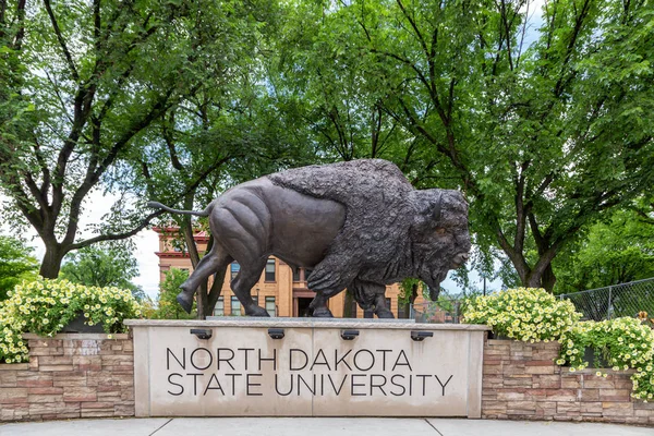 Statue de bisons à l'Université d'État du Dakota du Nord — Photo