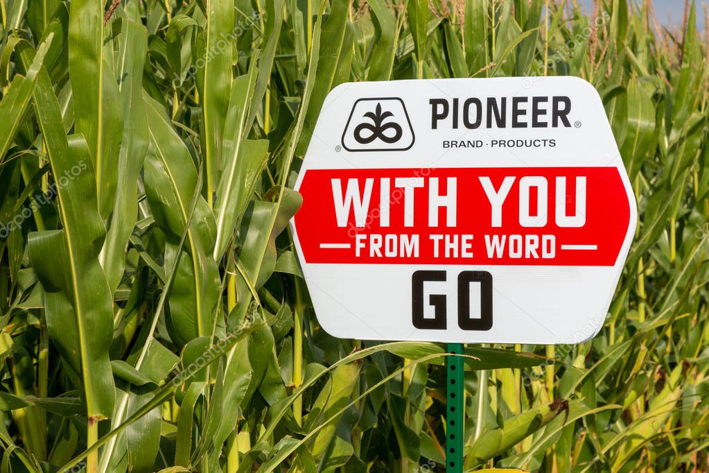 LE SUEUR, MN/USA - SEPTEMBER 1, 2019: Pioneer seed sign and trademark logo in field of corn.