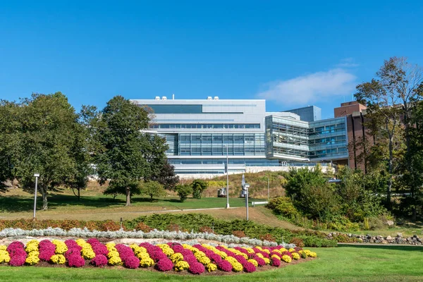 Waltham Massachusetts Brandeis Üniversitesi 'ne Giriş — Stok fotoğraf