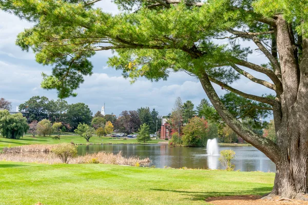 Vista e vista da Universidade de Connecticut — Fotografia de Stock