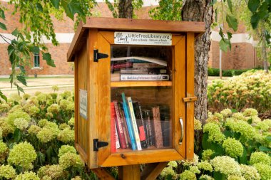 WINONA, MN / USA - 9 Ağustos 2020: LittleFreeLibrary.com sponsorluğunda ücretsiz ödünç kütüphane kutusu.