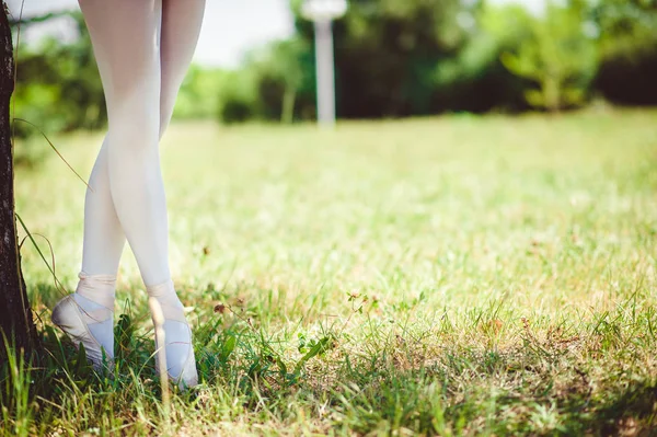Yeşil çimenlerin üzerinde pointes ayaklarda balerin