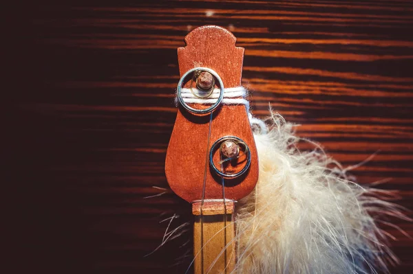 Alyans tüy dekorasyon yakın çekim ile yaylı enstrüman bir fretboard üzerinde