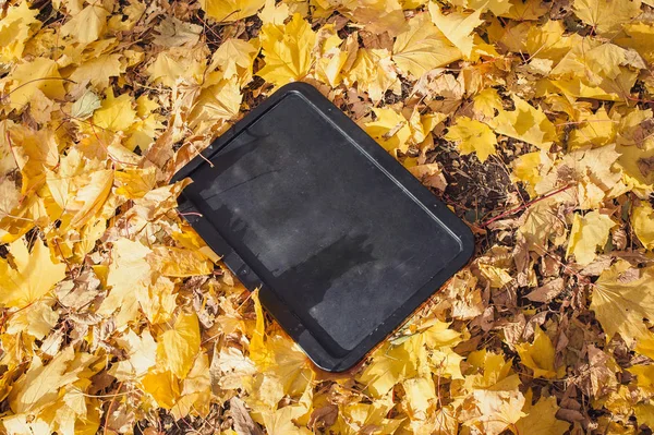 Siyah ahşap tablet. Sarı yapraklar.