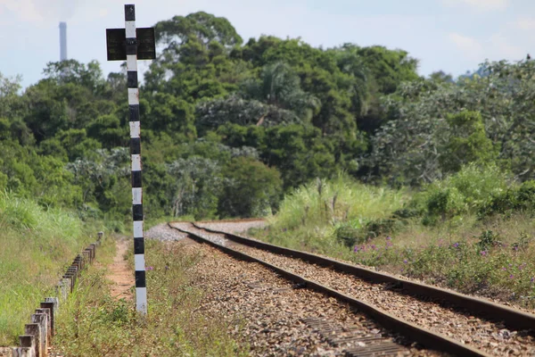 Imagen Una Curva Una Vía Férrea Sur Brasil Fotos de stock libres de derechos