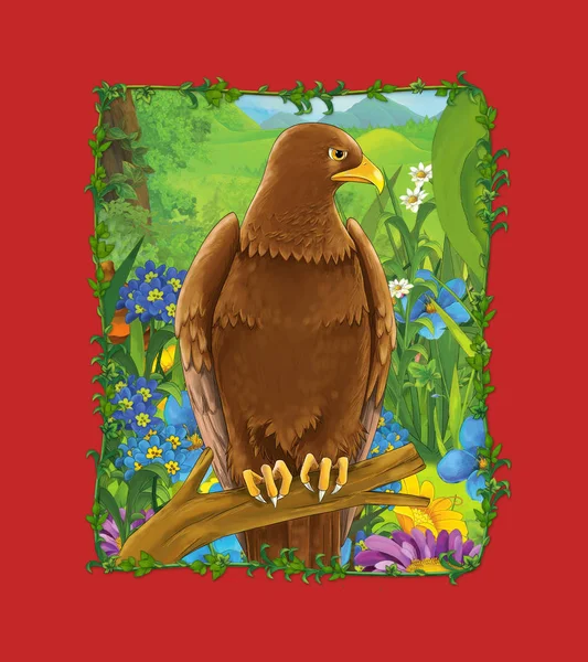 Scène Dessin Animé Avec Bel Oiseau Sur Prairie Aigle Illustration — Photo