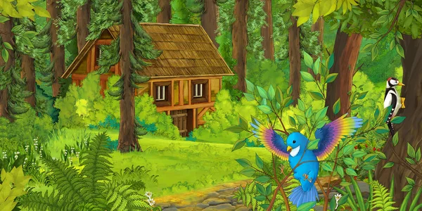 Cena Dos Desenhos Animados Com Casa Madeira Floresta Pica Pau — Fotografia de Stock