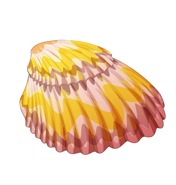 Cartoon Sea Shell Witte Achtergrond Illustratie Voor Kinderen — Stockfoto