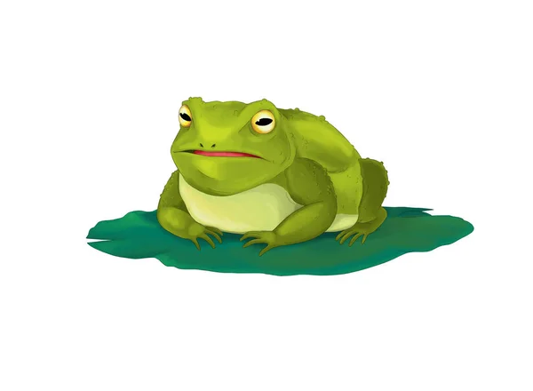 卡通童话动物字符 快乐青蛙或蟾蜍 例证为孩子 — 图库照片