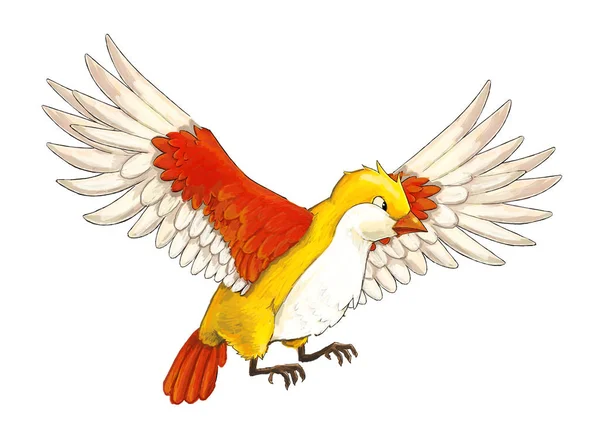 Cartoon exotic colorful bird - flying on white background - illustration for children