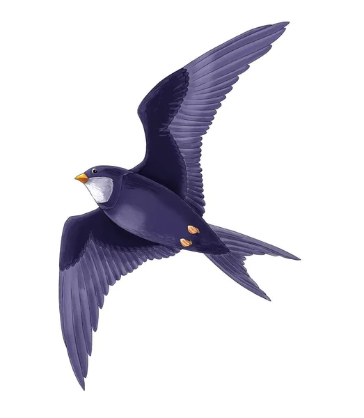 Cartoon Fairy Tale Animal Character Flying Cuckoo Bird Illustration Children — Stock Photo, Image