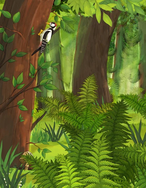 Γελοιογραφία Σκηνή Καλοκαίρι Πυκνό Δάσος Κανείς Στη Σκηνή Εικονογράφησης Για — Φωτογραφία Αρχείου