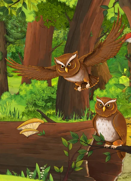 cartoon summer scene with deep forest and bird owl - nobody on scene - illustration for children