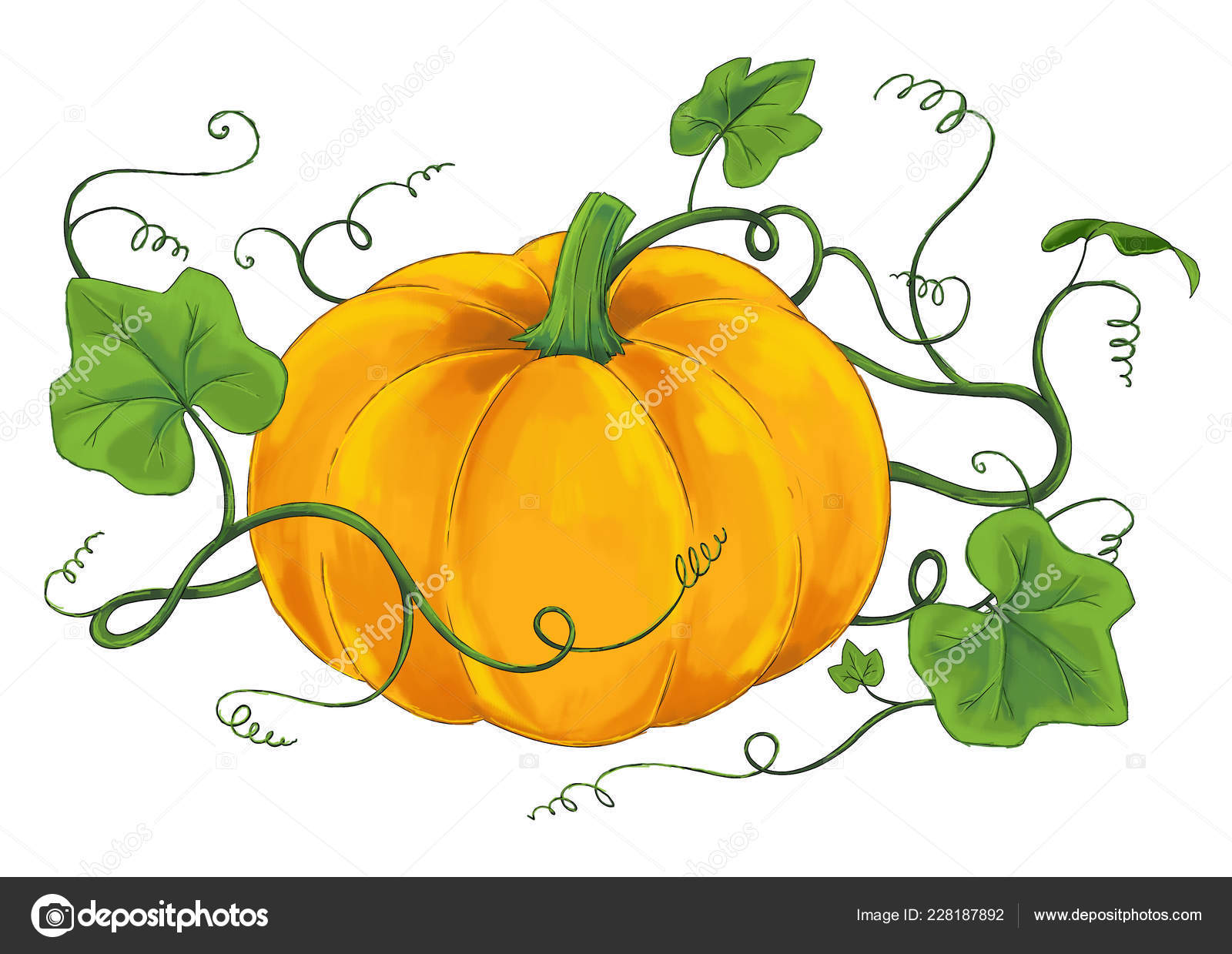 Cartoon pumpkin Stock Photos, Royalty Free Cartoon pumpkin Images |  Depositphotos
