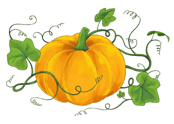 cartoon pumpkin on white background - illustration for the children