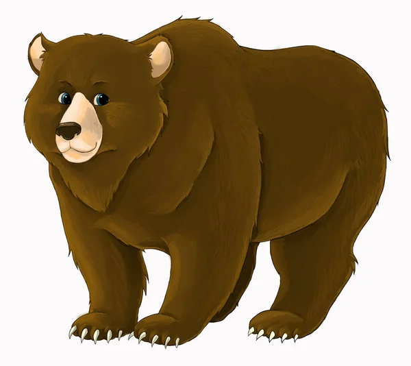 cartoon bear standing looking and smiling on white background - illustration for children