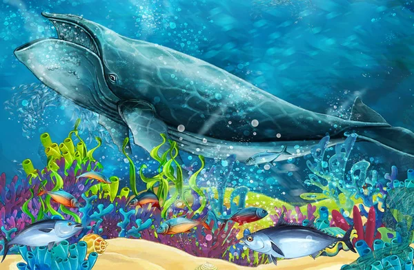 Cena Dos Desenhos Animados Com Baleia Perto Recife Coral Ilustração — Fotografia de Stock