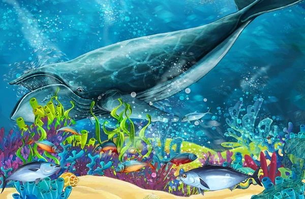 动画片场面与鲸鱼在珊瑚礁附近 例证为孩子 — 图库照片