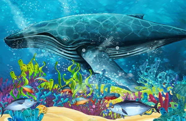 ฉากการ ปลาวาฬใกล แนวปะการ ภาพประกอบส าหร บเด — ภาพถ่ายสต็อก