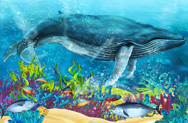 cartoon scene with whale near coral reef - illustration for children