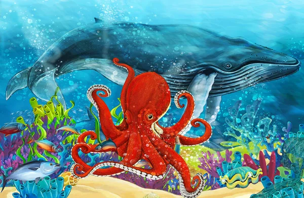 Zeichentrickszene Mit Walen Und Kraken Der Nähe Von Korallenriffen Illustration — Stockfoto