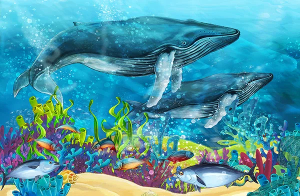 Scène Dessin Animé Avec Baleine Près Récif Corallien Illustration Pour — Photo