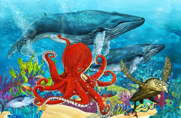 Escena Dibujos Animados Con Ballena Pulpo Cerca Los Arrecifes Coral — Foto de Stock