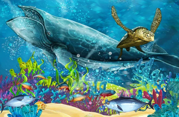Cartoon Scène Met Walvis Buurt Van Coral Reef Illustratie Voor — Stockfoto