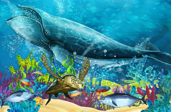Zeichentrickszene Mit Walen Der Nähe Von Korallenriffen Illustration Für Kinder — Stockfoto