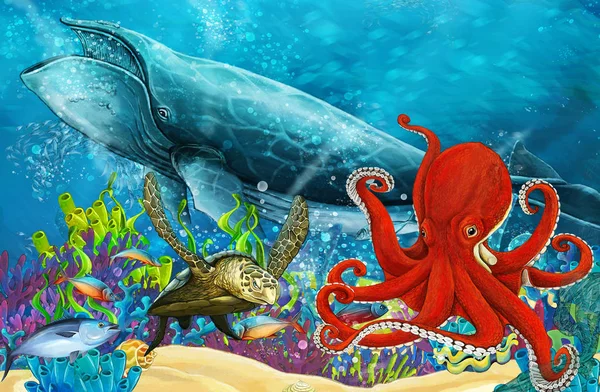 在珊瑚礁附近与鲸鱼和章鱼的卡通场景 儿童插图 — 图库照片