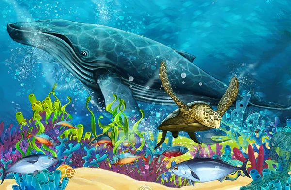 Cartoon Scen Med Whale Nära Coral Reef Illustration För Barn — Stockfoto