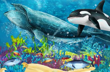 cartoon scene with whale and killer whale near coral reef - illustration for children clipart