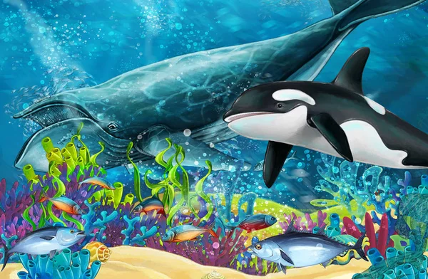 Cartoon Scène Met Walvis Orka Buurt Van Coral Reef Illustratie — Stockfoto