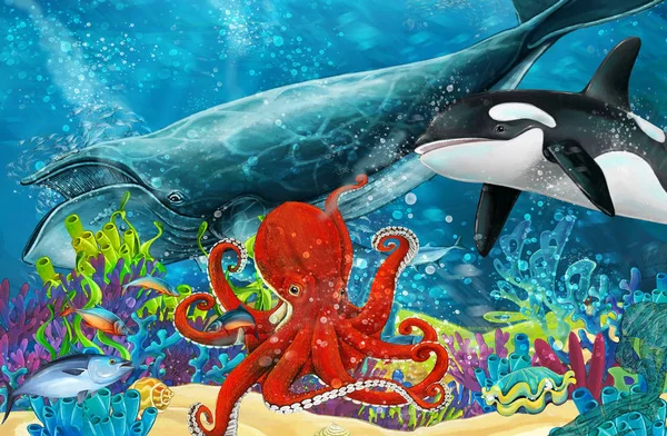 Cartoon Scene Whale Killer Whale Octopus Coral Reef Illustration Children — Stock Photo, Image