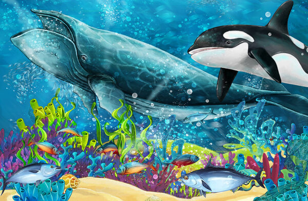 cartoon scene with whale and killer whale near coral reef - illustration for children