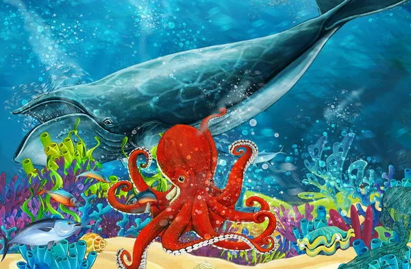 Cartoon Scène Met Walvis Orka Octopus Buurt Van Coral Reef — Stockfoto
