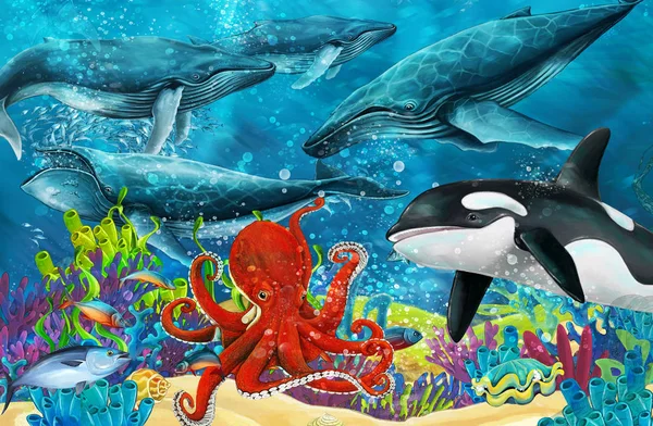 Мультяшная Сцена Китами Косатками Осьминогами Возле Кораллового Рифа Иллюстрация Детей — стоковое фото