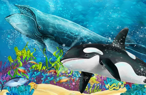 动画片场面与鲸鱼和杀人鲸鱼在珊瑚礁附近 例证为孩子 — 图库照片
