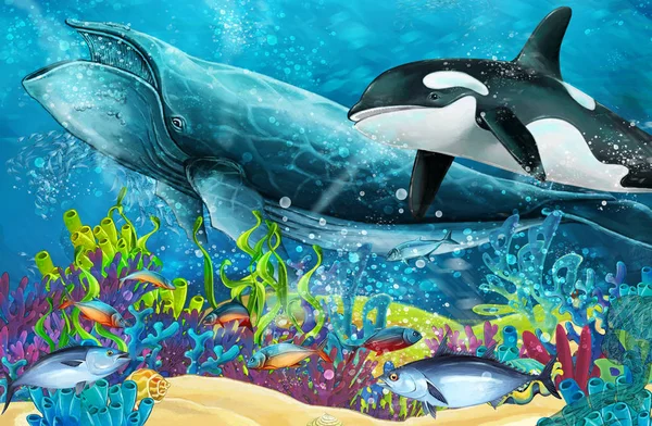 Cartoon Scene Whale Killer Whale Coral Reef Illustration Children — Stock Photo, Image