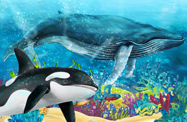 cartoon scene with whale and killer whale near coral reef - illustration for children