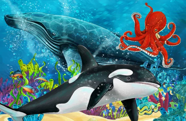 Cartoon Scene Whale Killer Whale Octopus Coral Reef Illustration Children — Stock Photo, Image