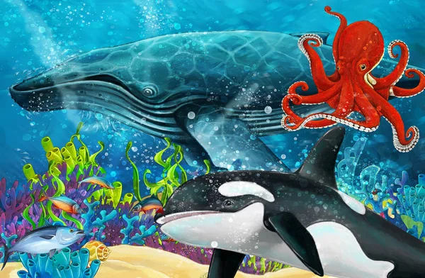 Γελοιογραφία Σκηνή Φάλαινα Φάλαινα Δολοφόνος Και Χταπόδι Κοντά Κοραλλιογενή Ύφαλο — Φωτογραφία Αρχείου