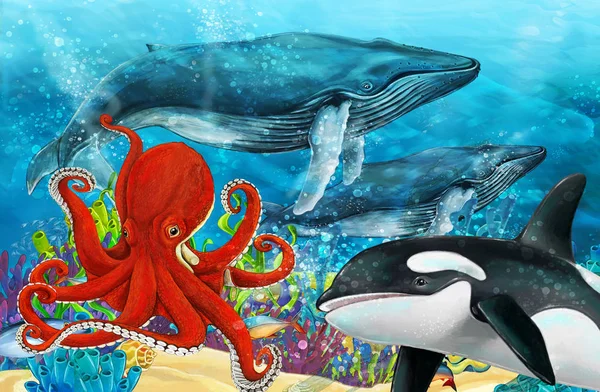 Cartoon Scène Met Walvis Orka Octopus Buurt Van Coral Reef — Stockfoto