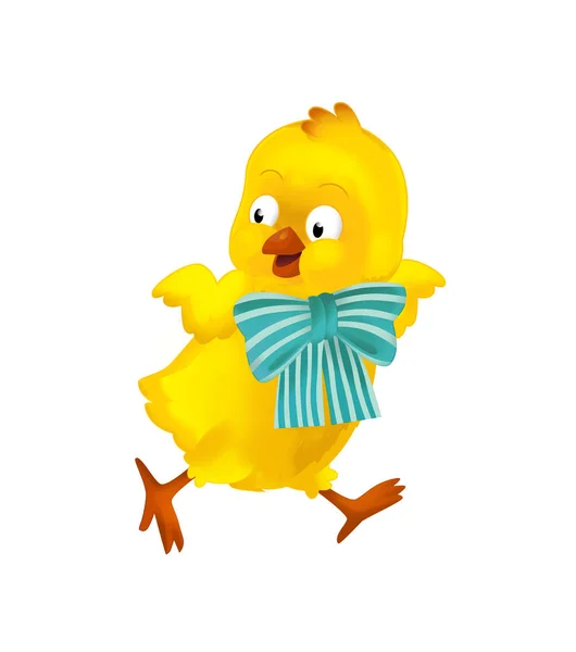 Cartoon Szczęśliwy Kurczaka Wielkanoc Białym Tle Ilustracja Dla Dzieci — Zdjęcie stockowe