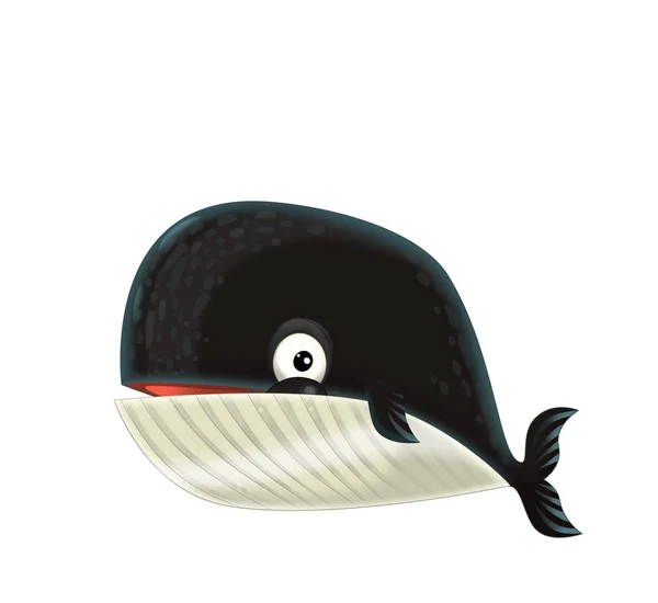 Kreslená Šťastná Zábavná Mořská Velryba Bílém Pozadí Ilustrace Pro Děti — Stock fotografie